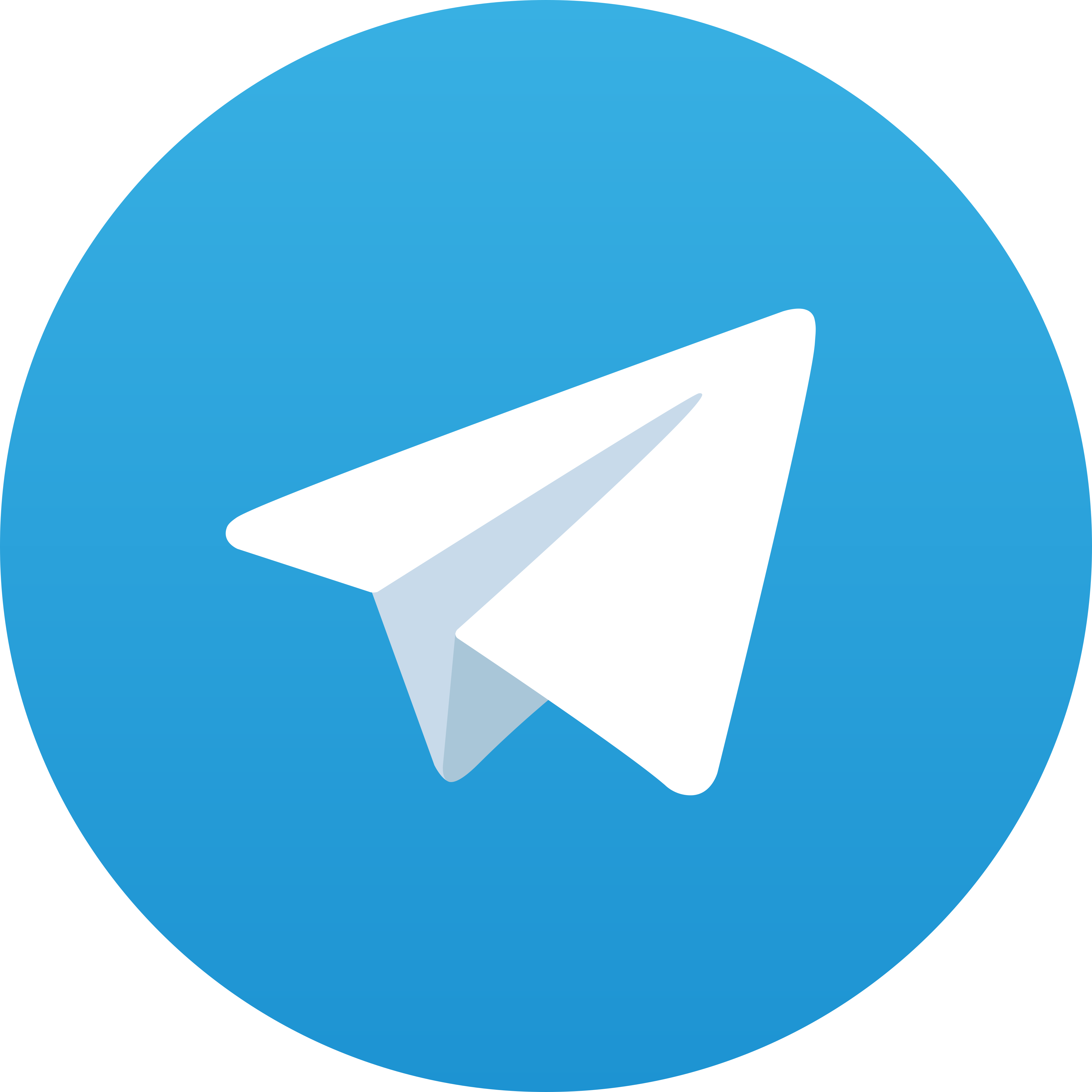 Telegram SUMI4D